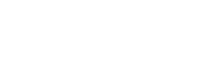 Ionic